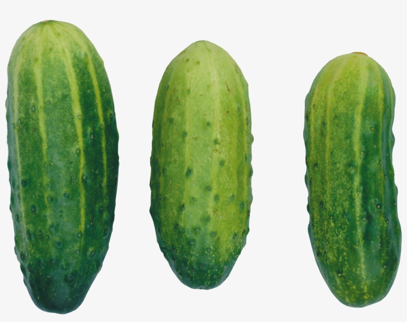 Png Cucumbers, transparent png #918803