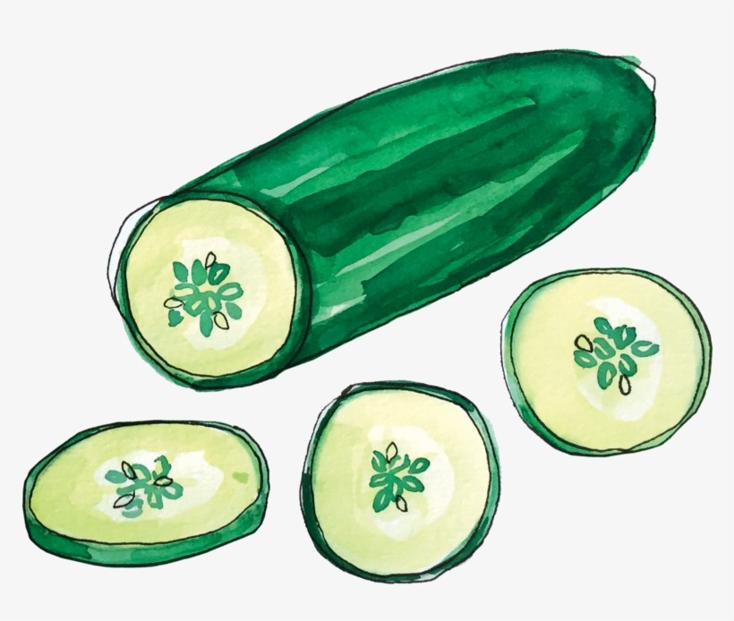 Cucumber June2018 Lyndsay - Portable Network Graphics, transparent png #918828