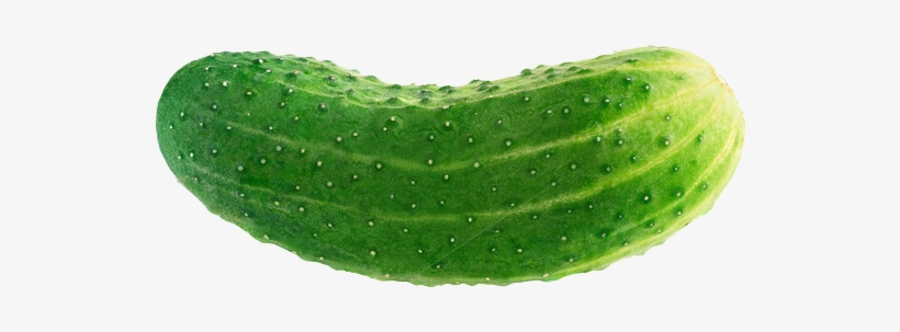 Cucumber - Cucumber Png, transparent png #919120