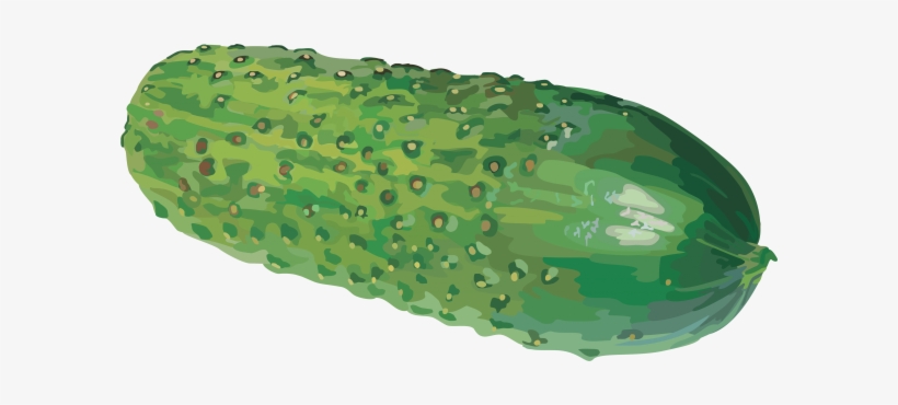 Cucumber Png Free Download - Watercolor Cucumber Png, transparent png #919333