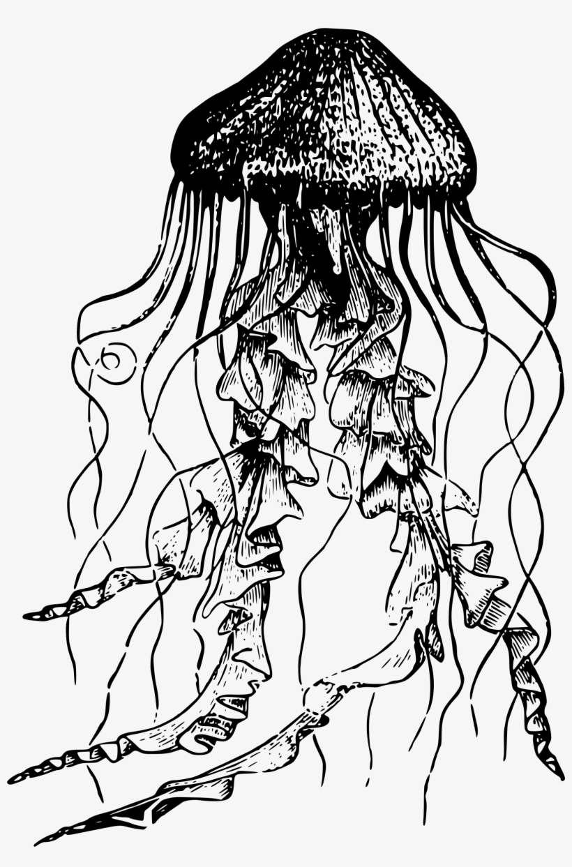 Big Image - Jellyfish Drawing, transparent png #9100516