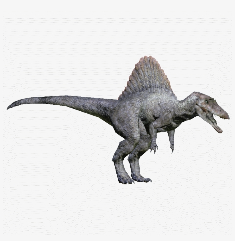 Spinosaurusroy - Zt2 Download Library Wiki Spinosaurus, transparent png #9101147