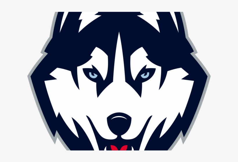 Husky Clipart Washington Huskies - Uconn Husky Logo Png, transparent png #9102046