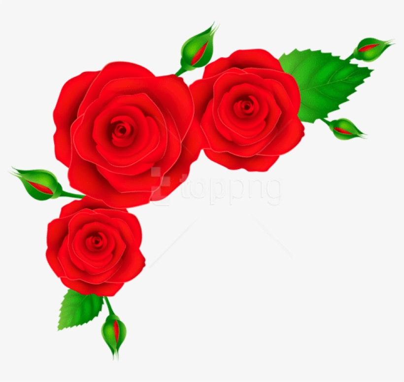Free Png Download Red Roses Corner Transparent Clipart - Transparent Flower Garlands Png, transparent png #9103000