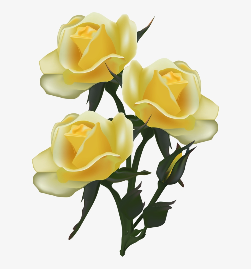 Фото, Автор Soloveika На Яндекс - Yellow Rose Drawing Png Transparent, transparent png #9103066