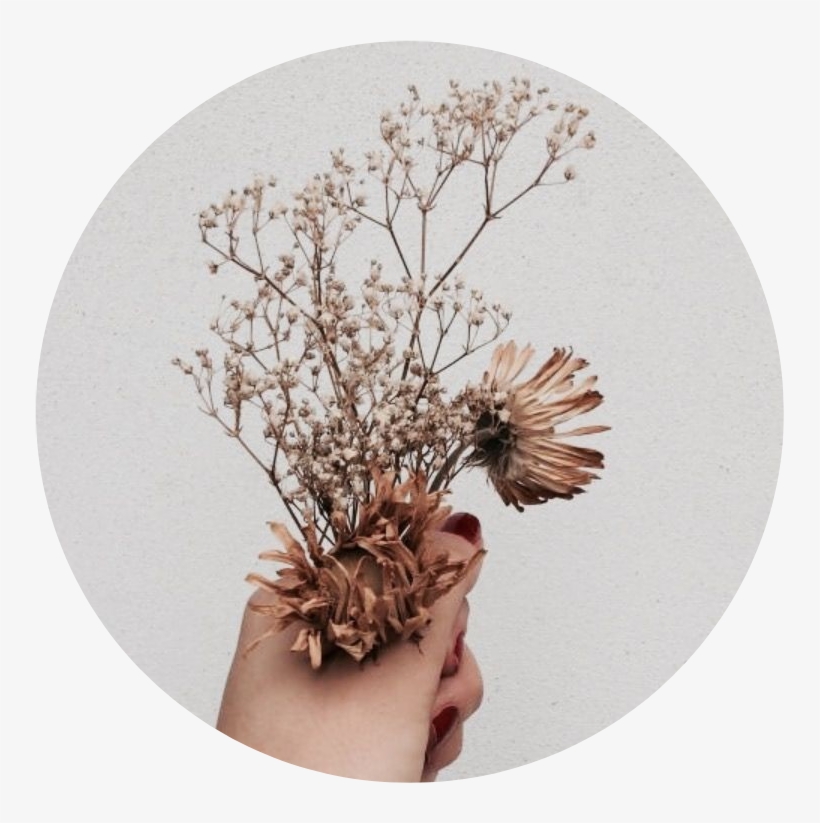 Tumblr Aesthetic Brown Flower Flowers Png Brown Tumblr - Aesthetic ...