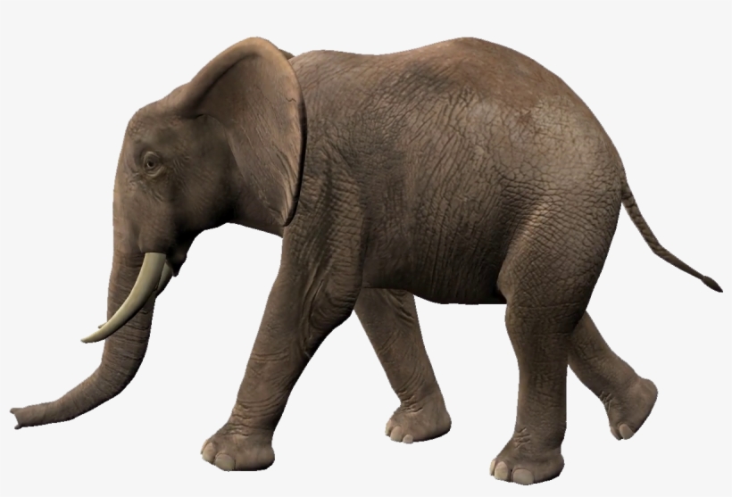 Elephant Walking Animation Free Transparent Png Download Pngkey