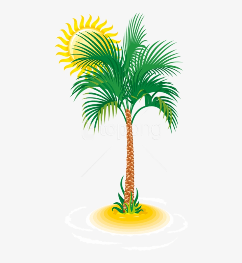 Free Png Download Palm And Sun Clipart Png Photo Png - Tree Vector, transparent png #9104407
