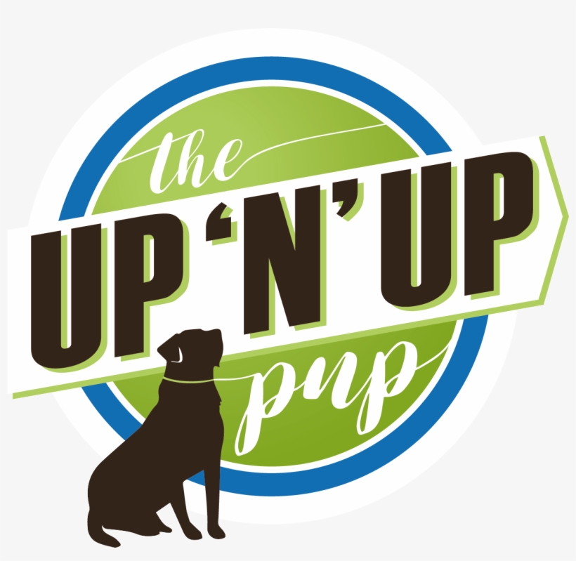 Techniquesprocesscontact - Dog Catches Something, transparent png #9105066