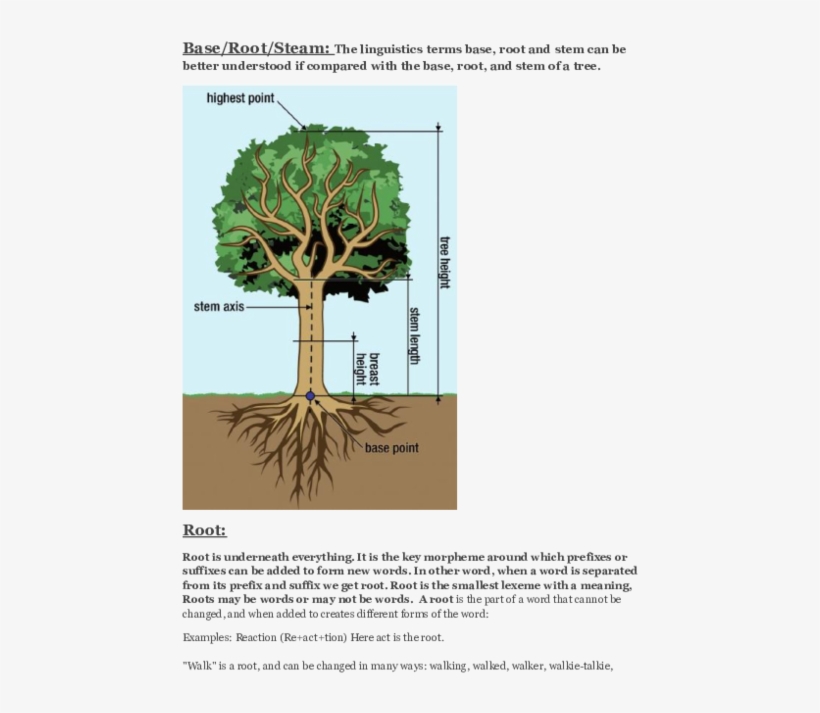 Docx - Palm Tree, transparent png #9105392