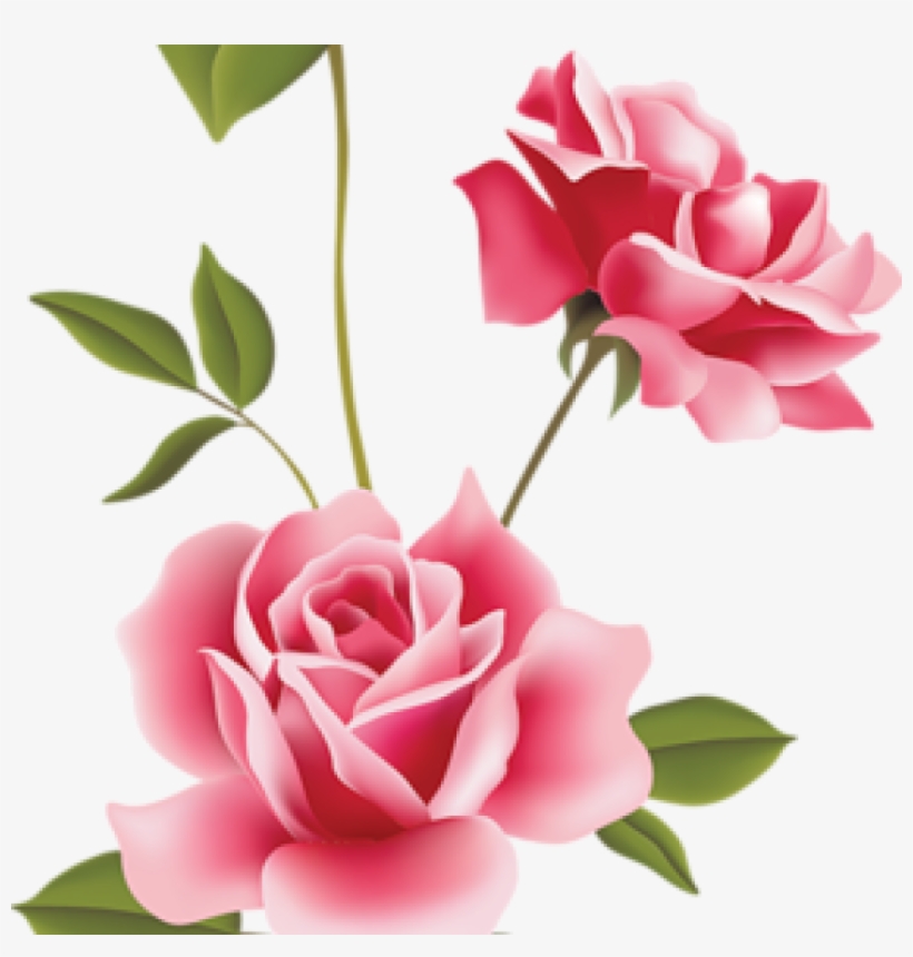 Pink Rose Clipart Pink Roses Clip Art Clip Art Spring - Pink Rose Free Clipart, transparent png #9105797