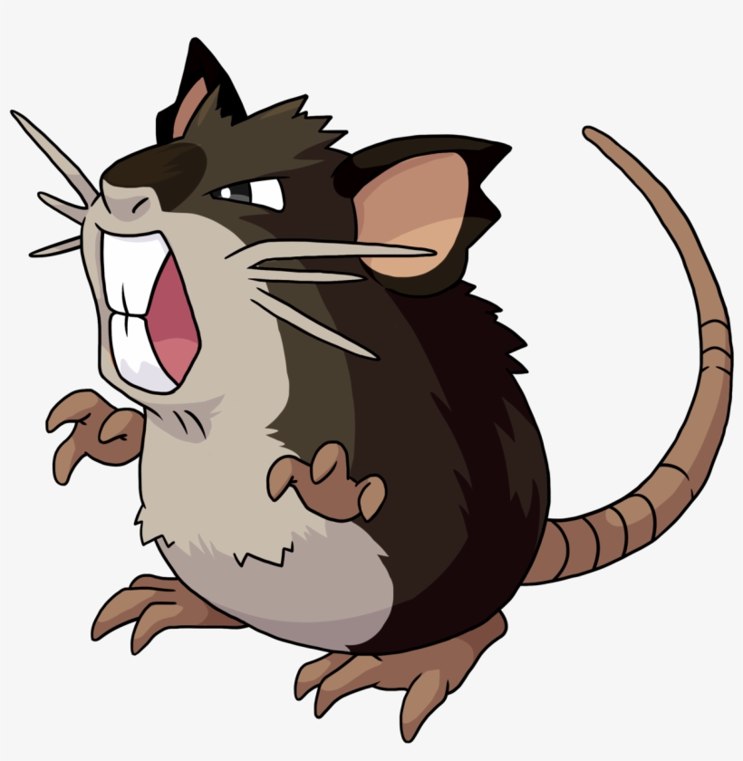 Hold On Tight And Don't Look Back 19-20/807 Variations - Raticate Pokemon, transparent png #9107262