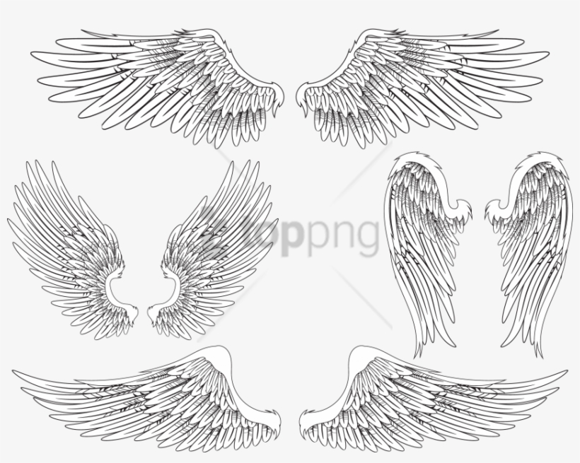 Free Png Download Angel Wing Bird Feather Png Images - Feathered Angel Wings Drawing, transparent png #9109736