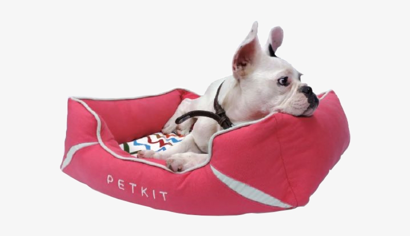 Cama De Viscolástica Para Perros Y Gatos Petkit Petbed - Cama Para Perros Png, transparent png #9110522