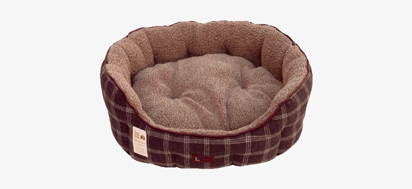 Comfort, transparent png #9110667