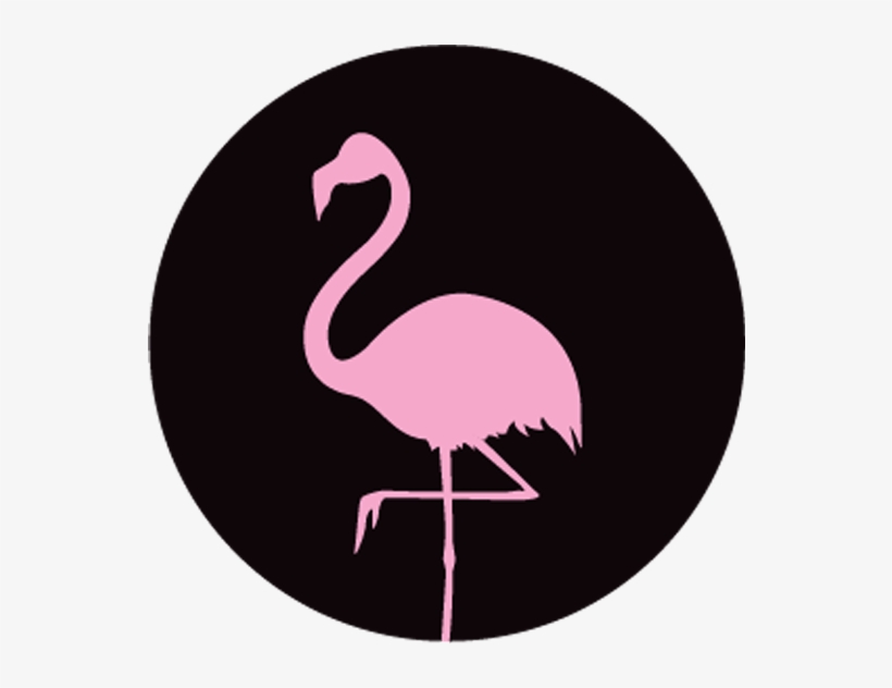 Greater Flamingo, transparent png #9111085