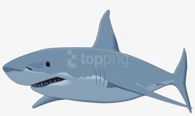 Free Png Download Shark Image Clipart Png Photo Png - Great White Shark Clipart, transparent png #9111505
