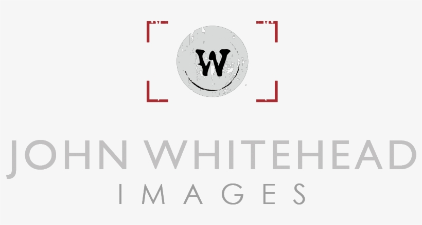 Logo - Horse, transparent png #9111776