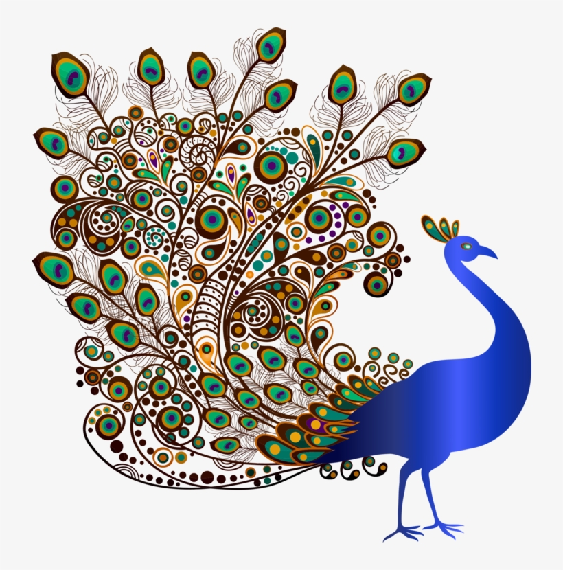Bird Indian Peafowl - Indian Peafowl Drawing, transparent png #9112204