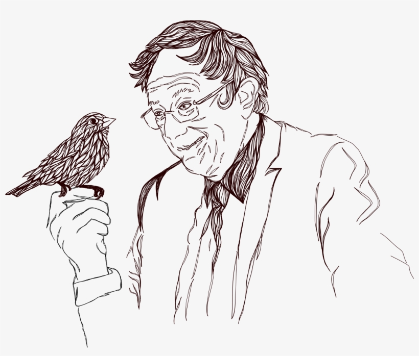 Big Image - Sketch, transparent png #9112206