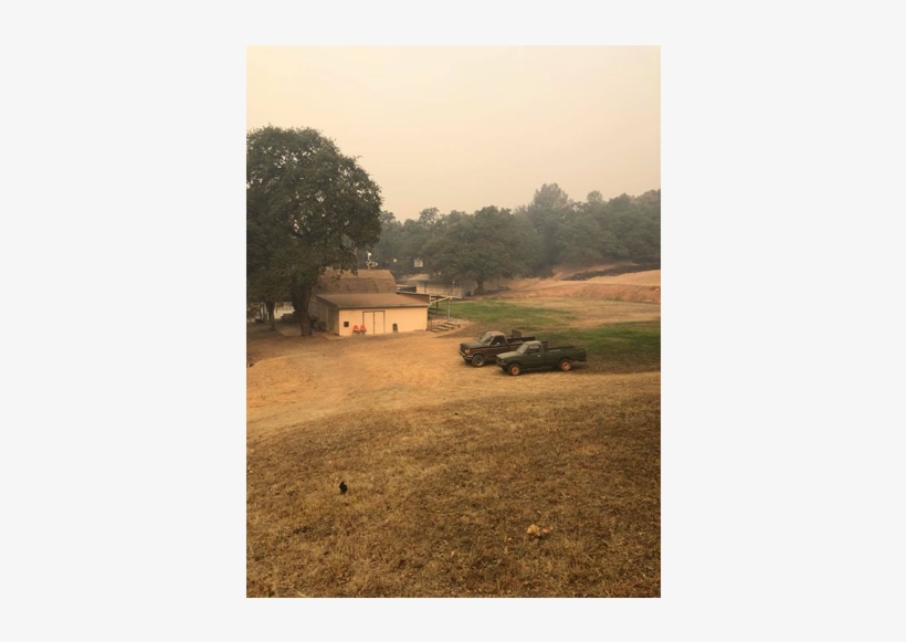 2018 Carr Fire - Tree, transparent png #9112783