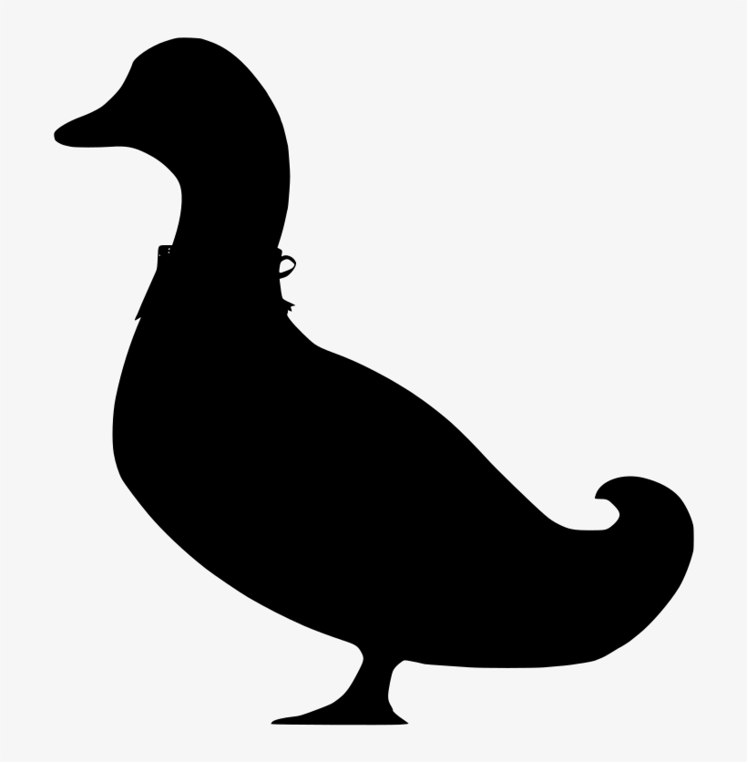 Download Png - Duck, transparent png #9112787