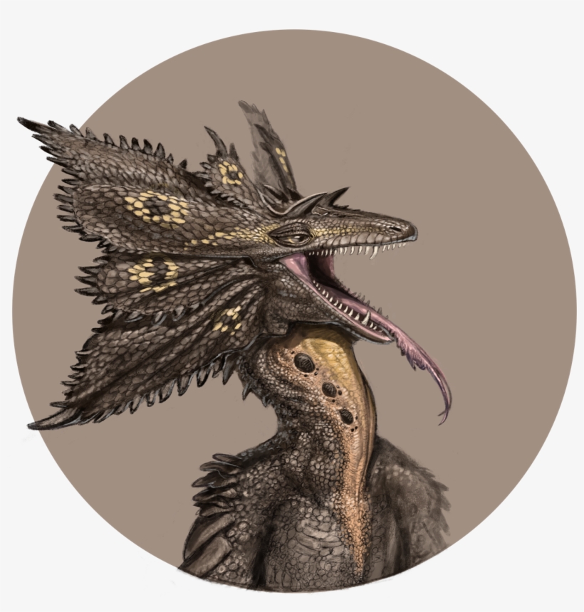 More Realistic Bust Of Cabal - Dragon, transparent png #9113417