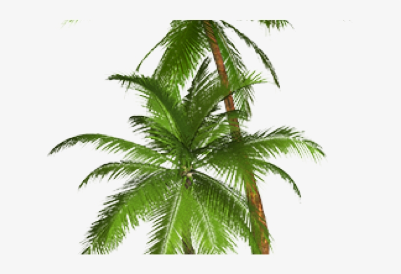 Palm Tree Clipart Transparent Png - Png Format Palm Tree Png, transparent png #9114120