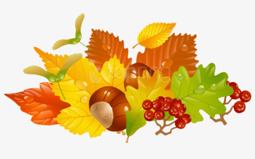 Free Png Download Transparent Fall Leaves And Chestnuts - Fall Leaves Wreath Clipart, transparent png #9115541
