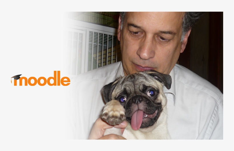 We Say Hola To Mexican Moodle Translator And Documenter - Moodle, transparent png #9115650