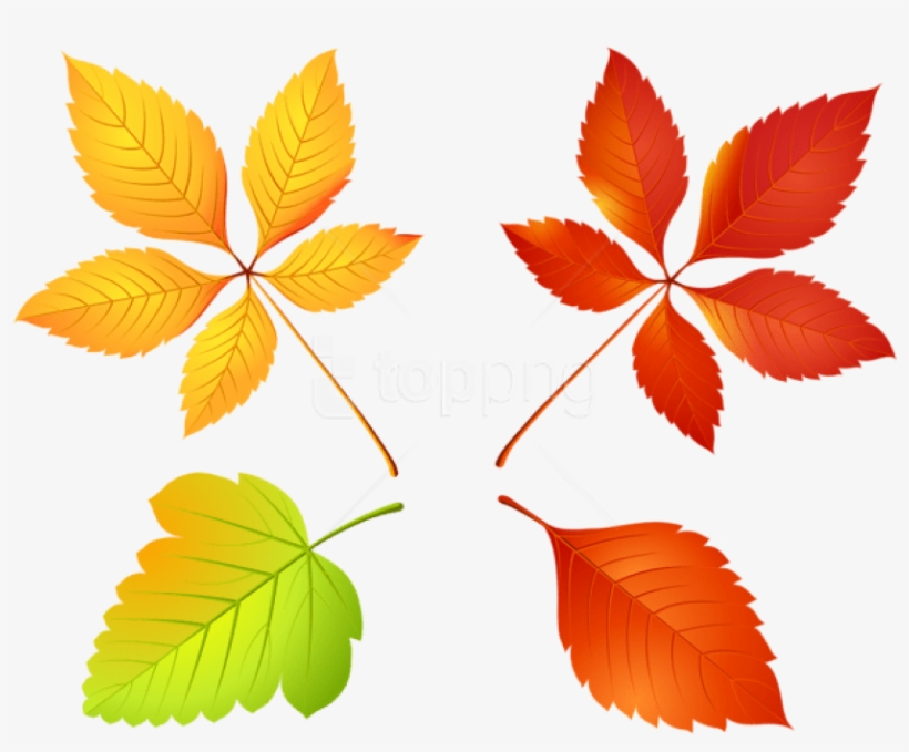 Free Png Download Autumn Leaves Set Clipart Png Photo - Autumn Chestnut Leaf Clipart, transparent png #9115749