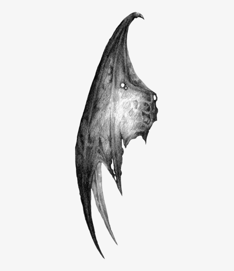 #bat #wing #dark #devil #freetoedit - Demon Wings, transparent png #9116406