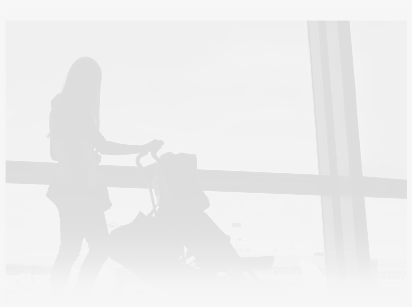 Unusual Baggage And Special Allowances - Silhouette, transparent png #9116791