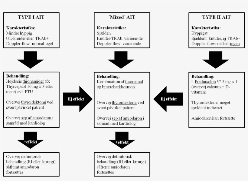 Amiodaron Induceret Thyrotoxicosis Type Ii - Diagram, transparent png #9117471