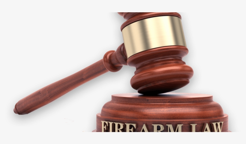 Bump Stock Sales Impacted By Legislation Orchid - Labour Law, transparent png #9117567