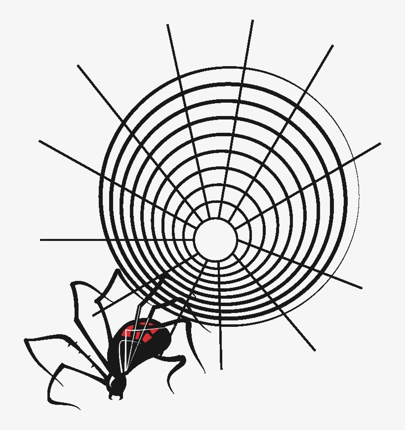 Input Spider And Web 2, transparent png #9118358