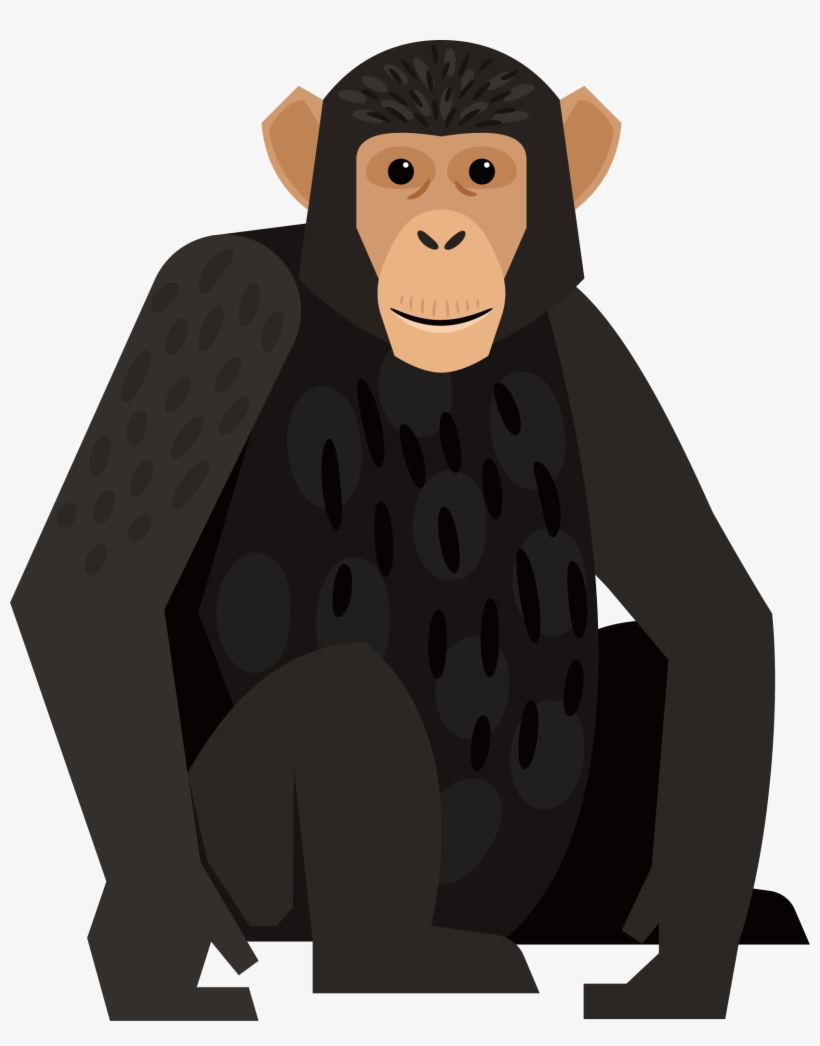 Graphic Royalty Free Chimpanzee Monkey Orangutan Black - Common Chimpanzee, transparent png #9118359