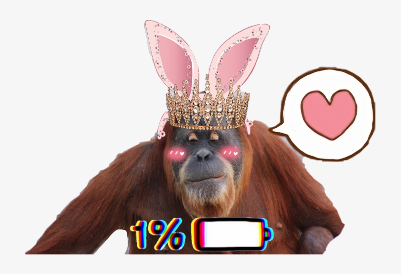 Orangutan, transparent png #9118509