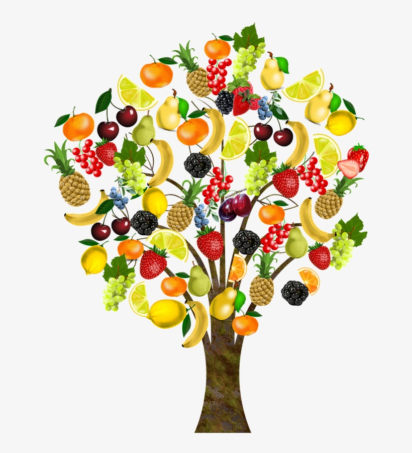 To Welcome All My New Followers And To Connect With - Arbol Con Frutas Y Verduras, transparent png #9118952