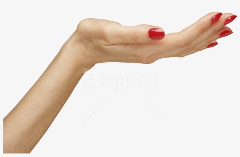 Free Png Download Hands Png Images Background Png Images - Women Hand Png, transparent png #9120414