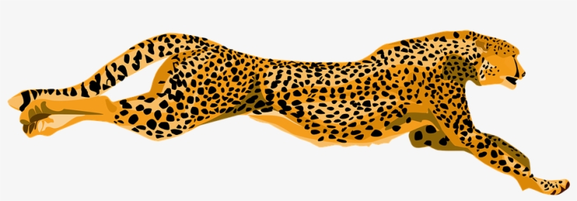 Cheetah Clipart Png, transparent png #9120872