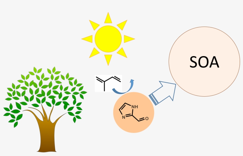 New Mcneill Group/temple Publication In J - Tree Clipart Transparent Background, transparent png #9122170