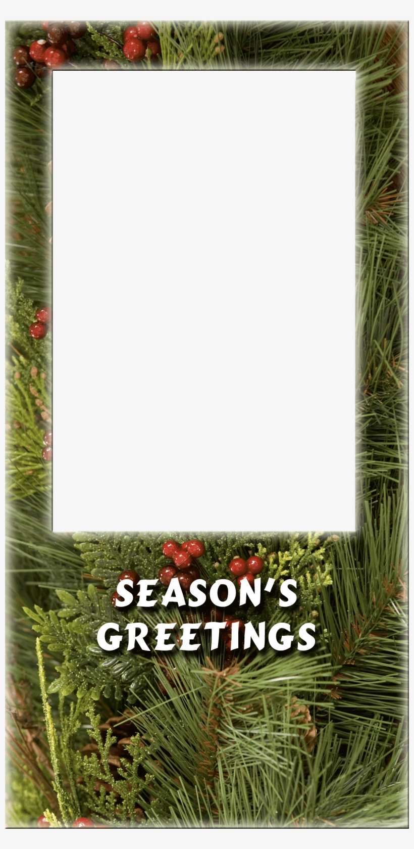 Cc0078 - Maureen Dowd, transparent png #9122802