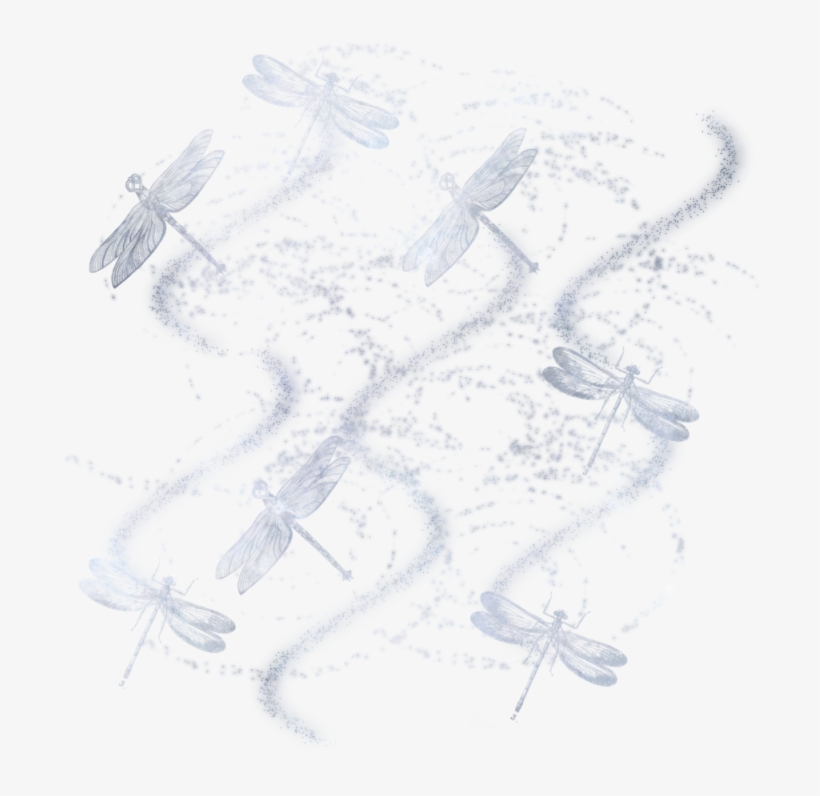 Dragonfly Masked Texture 800 X 800 - Sketch, transparent png #9123147
