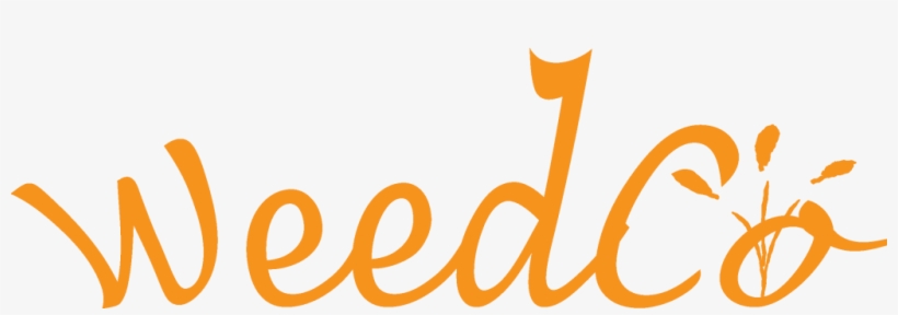 Weedcofinal Logo - Calligraphy, transparent png #9124321