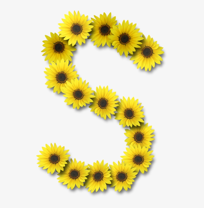 Alfabeto Sunflowers - Sunflower Letter S, transparent png #9124557