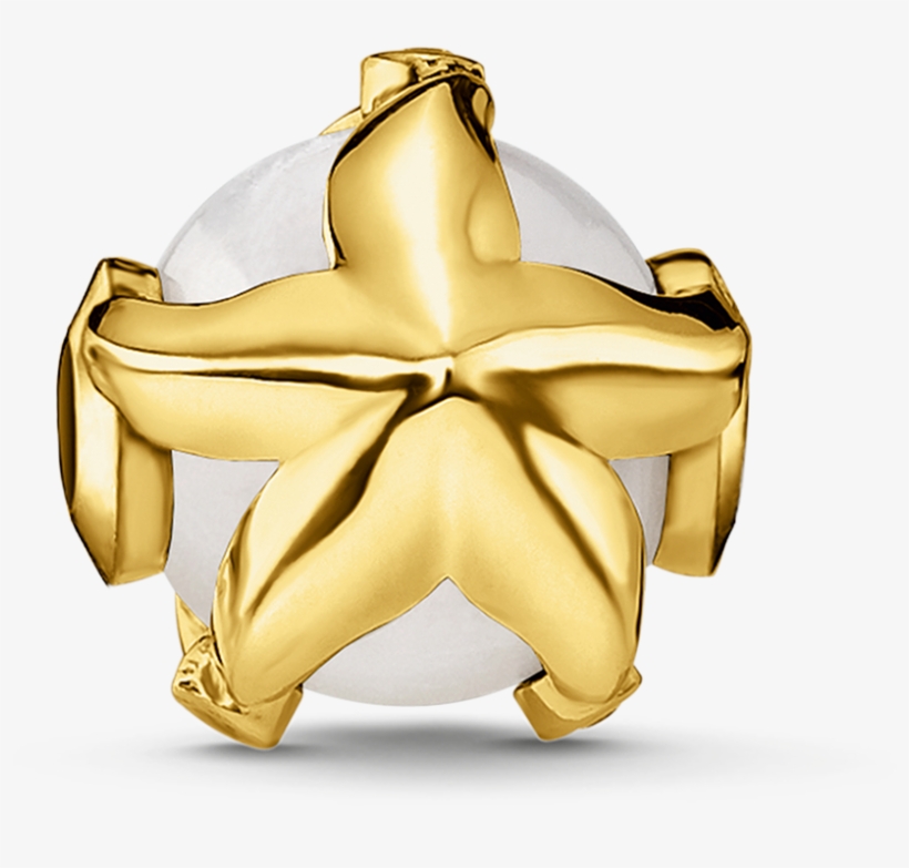 Bead Estrella De Mar - Thomas Sabo, transparent png #9127075