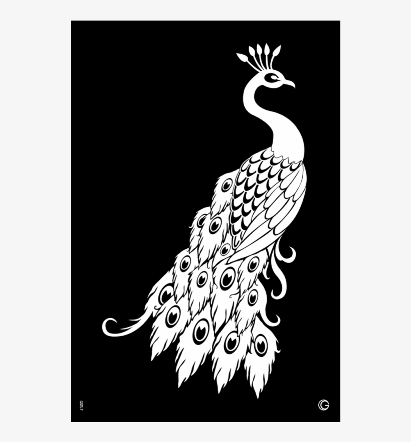 Download Gstl7 Proud Peacock 0f24ca75 4ac6 4d42 9c73 A428090a76da ...