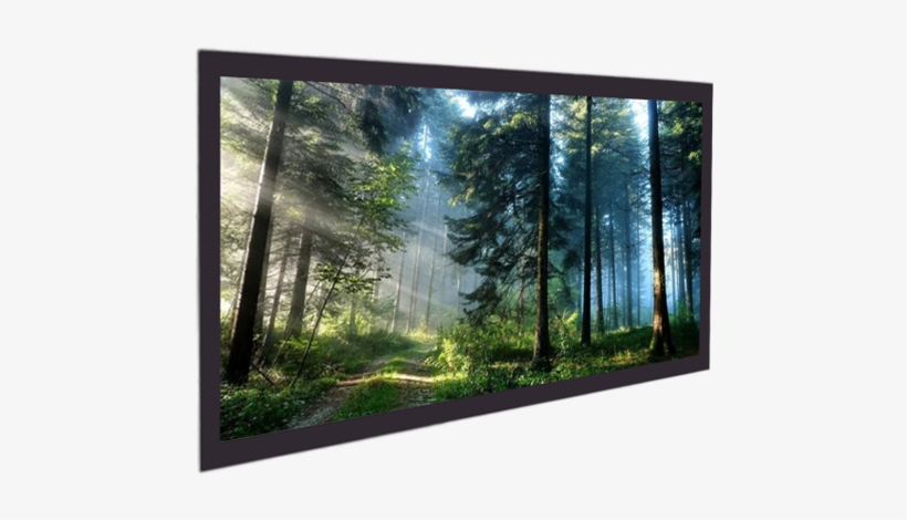 Jk - Majestic Forest, transparent png #9127767