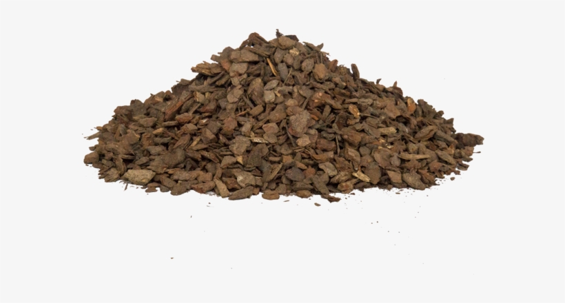 Wood, transparent png #9128117